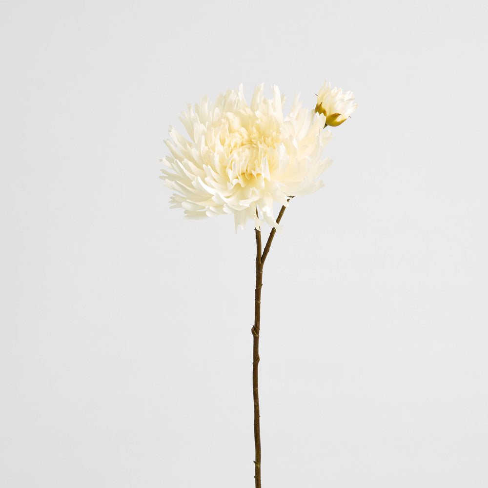 Mum Spray 78cm Cream