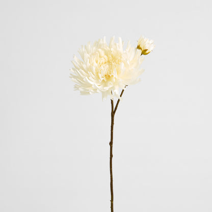 Mum Spray 78cm Cream