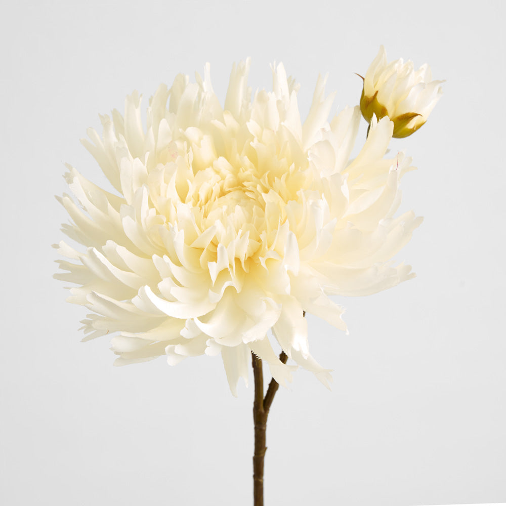 Mum Spray 78cm Cream