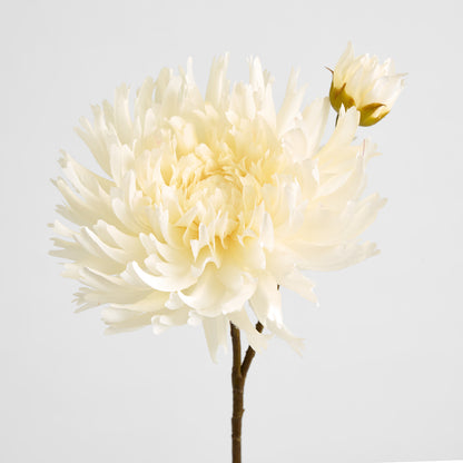 Mum Spray 78cm Cream