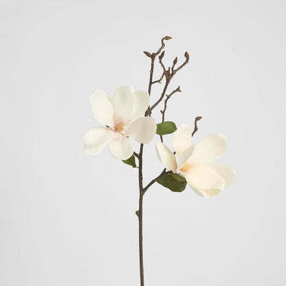 Magnolia Stem 70cm White