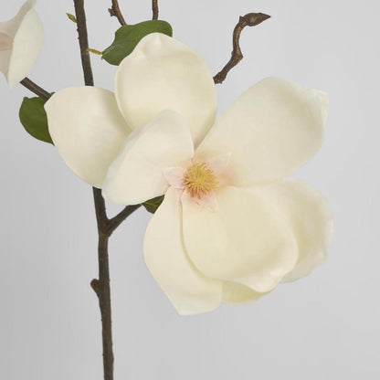 Magnolia Stem 70cm White