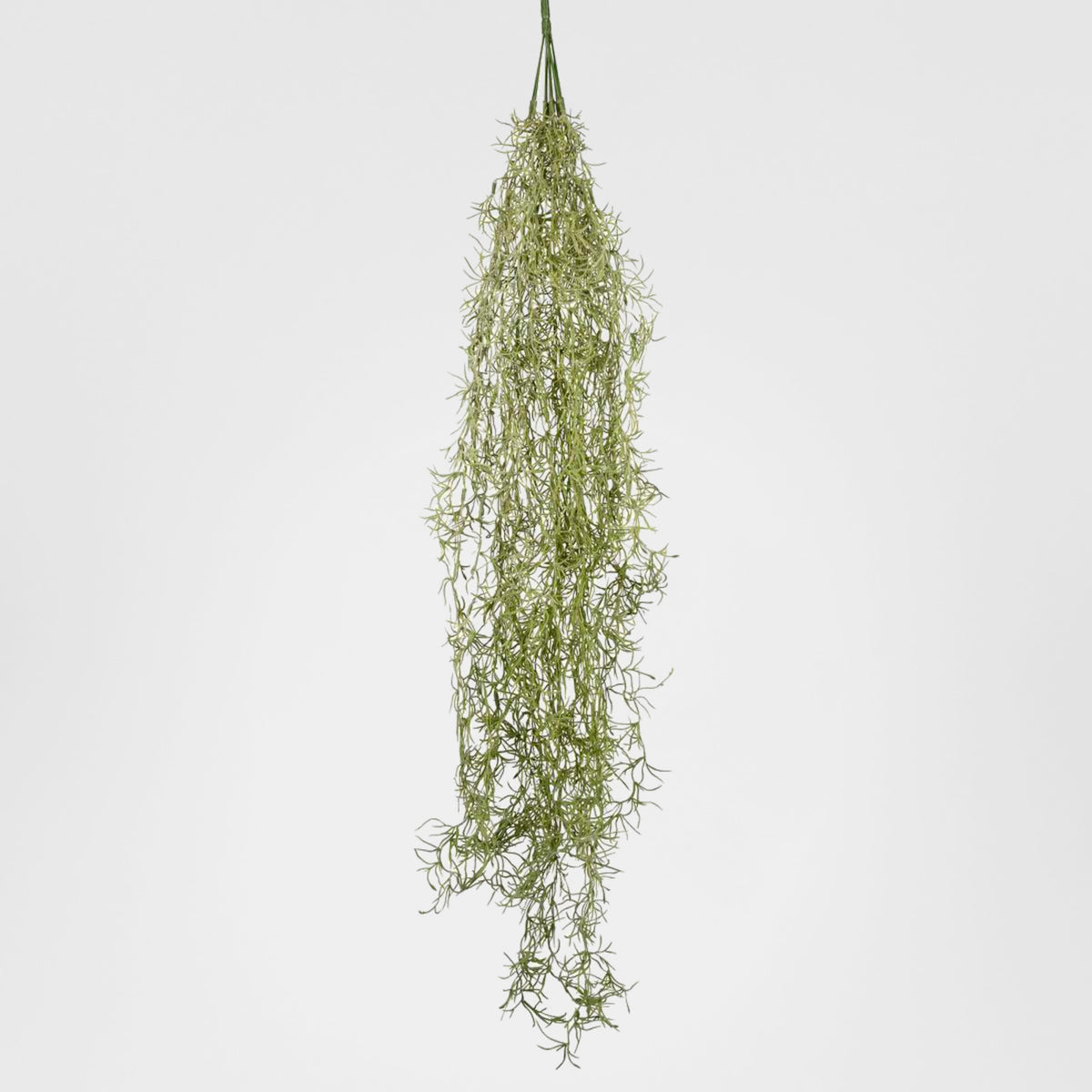 Hanging Moss Spanish 1.2m