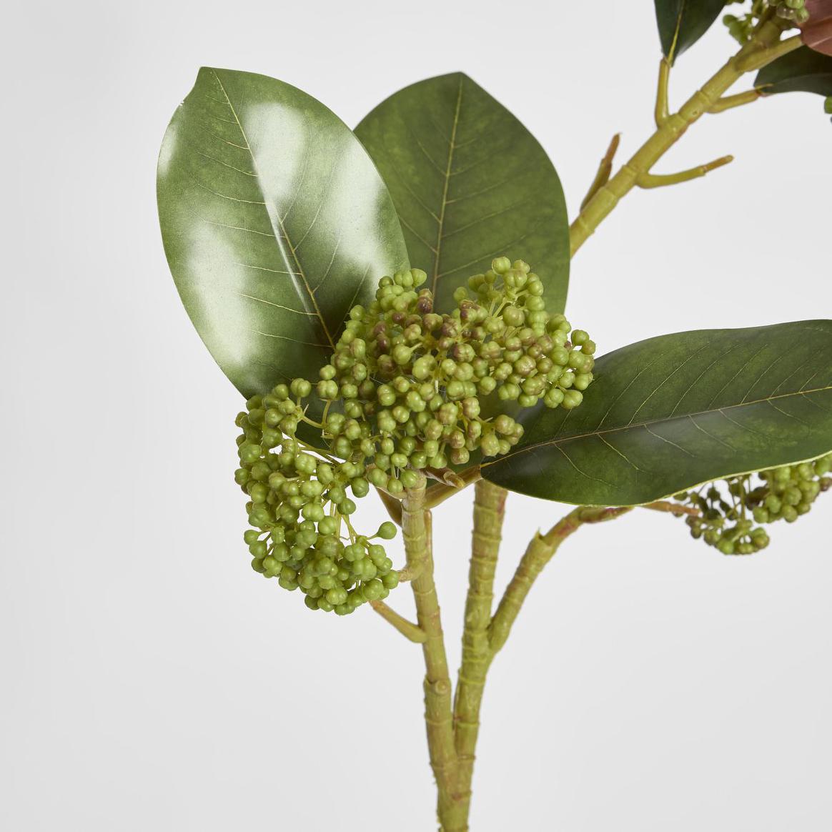 Magnolia Berry Spray 80cm Green