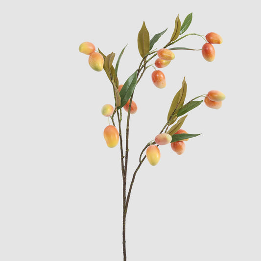 Orange Mango Stem