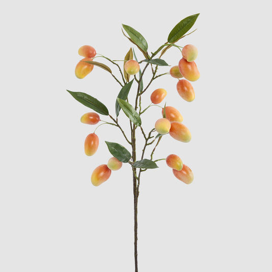 Orange Mango Stem