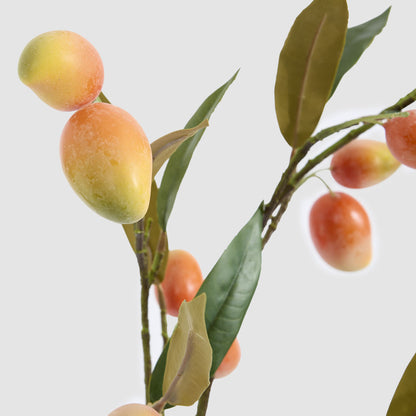 Orange Mango Stem