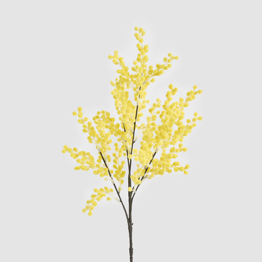 Mimosa Spray 78cm