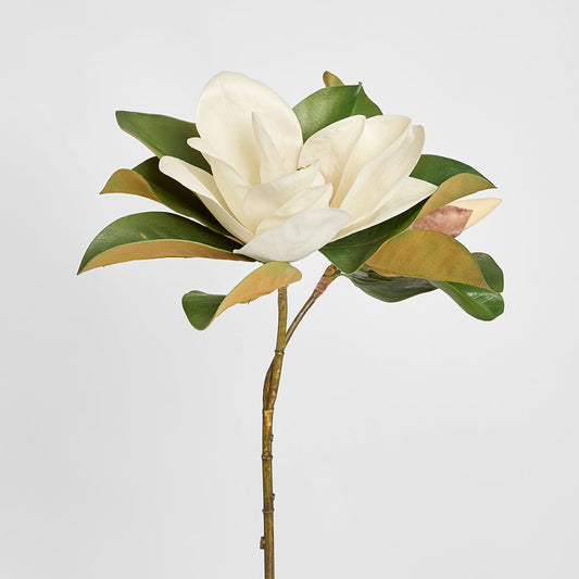 Magnolia Flower 72cm White