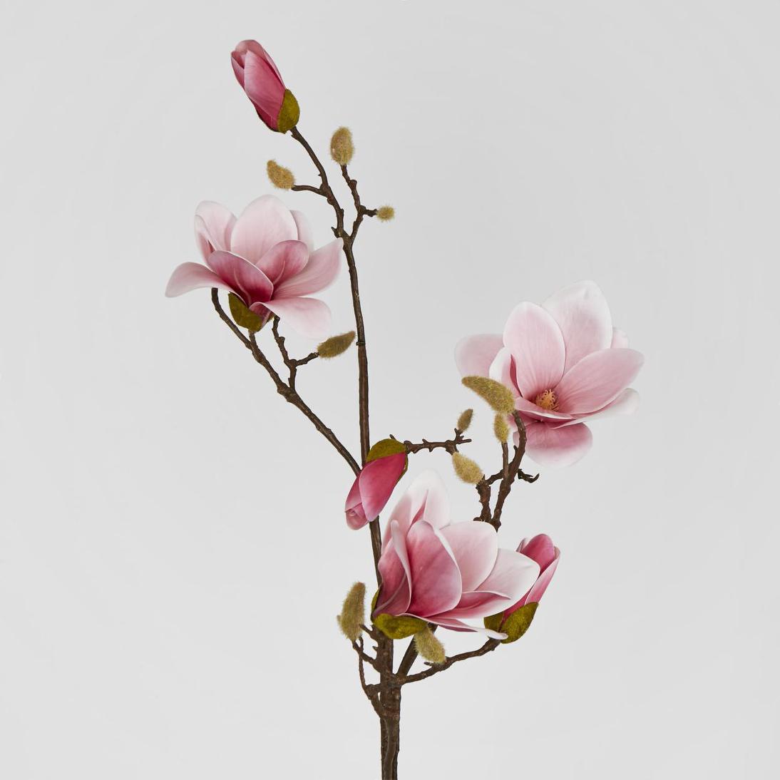 Magnolia With Full Blooms Pink 110cm
