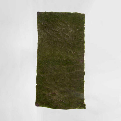 Moss Mat Large 100x50cm Green