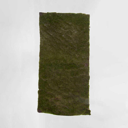 Moss Mat Large 100x50cm Green