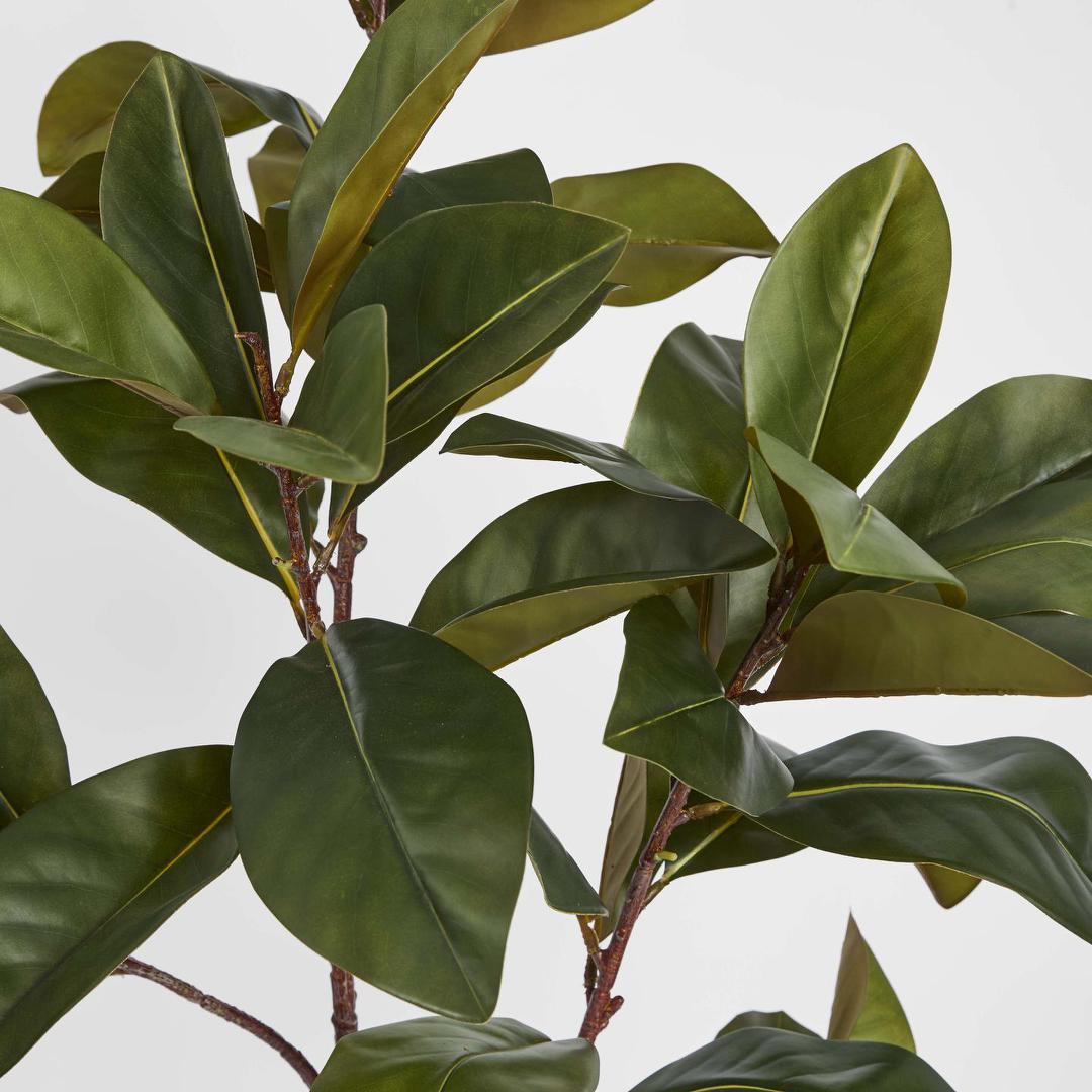 Real Touch Magnolia Tree 1.2M