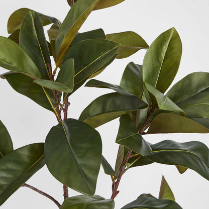Real Touch Magnolia Tree 1.2M