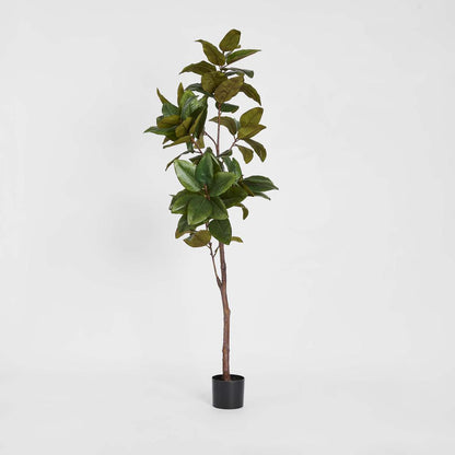 Real Touch Magnolia Tree 1.7M