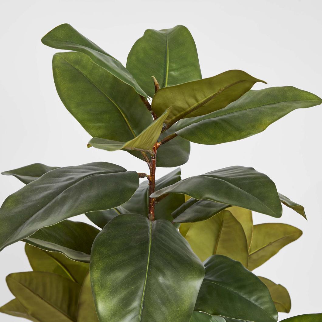 Real Touch Magnolia Tree 1.7M
