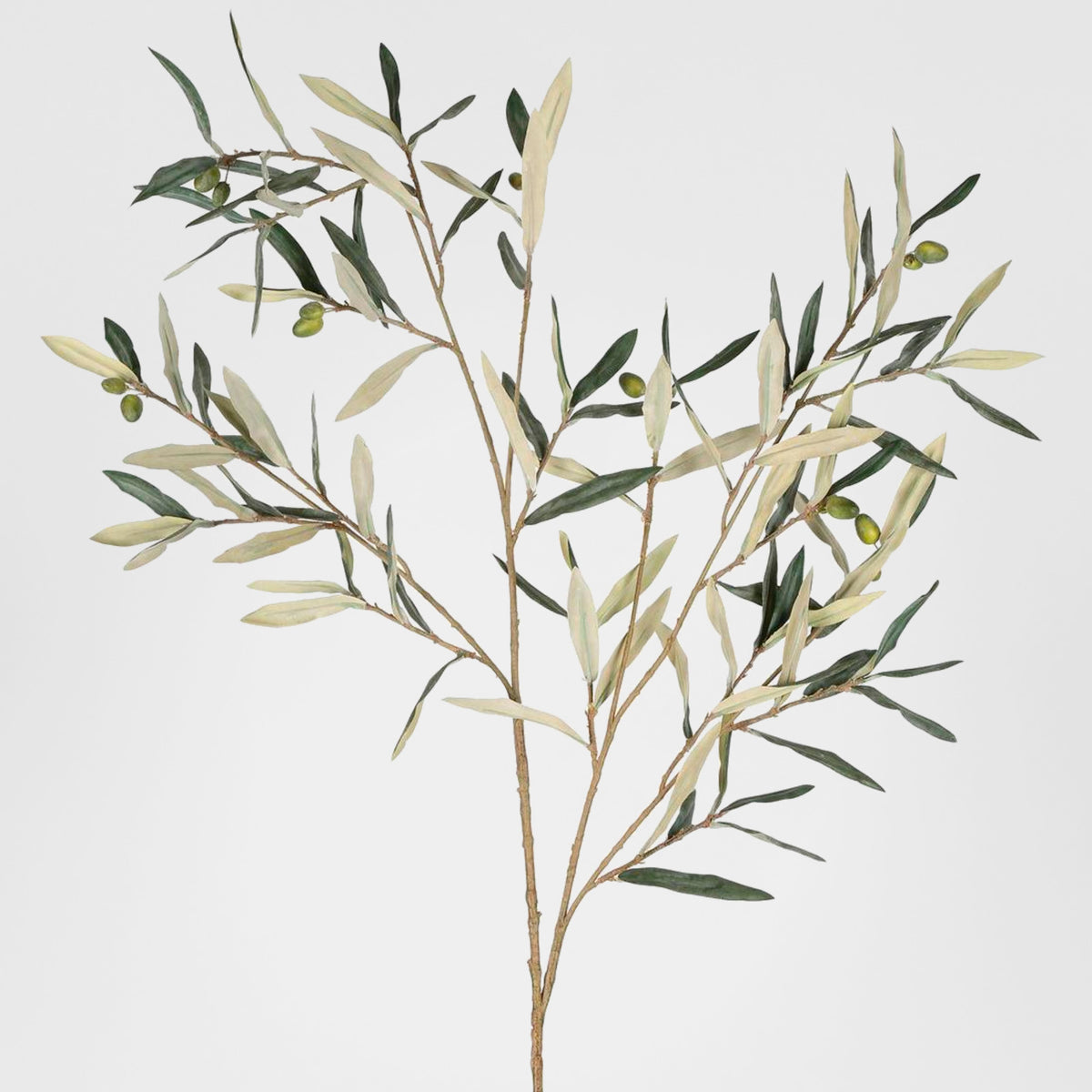 Olive leaf Branch 94cm Green