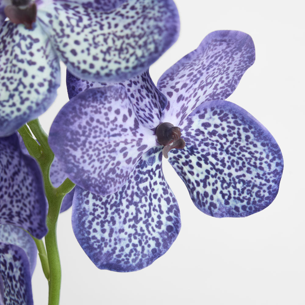 Vanda Orchid Stem 66cm Purple