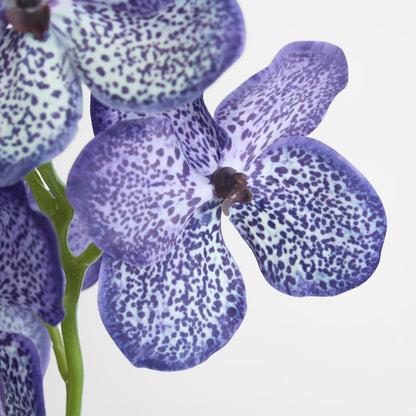 Vanda Orchid Stem 66cm Purple