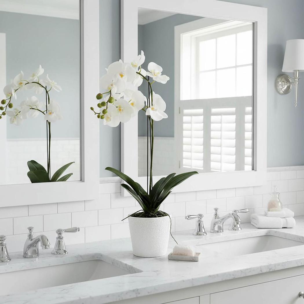 Orchid in Clay Pot 84cm White