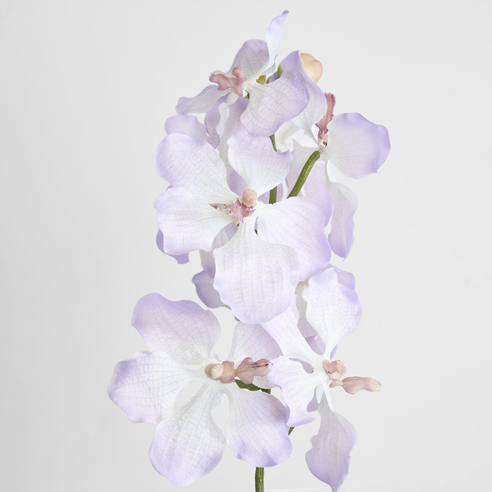 Dendrobium Orchid Spray Lilac