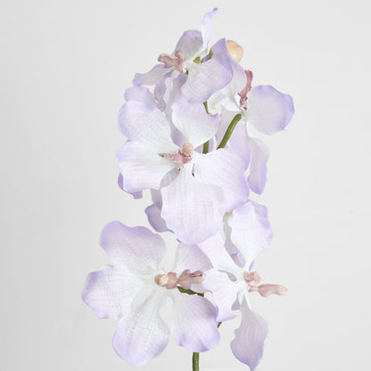 Dendrobium Orchid Spray Lilac