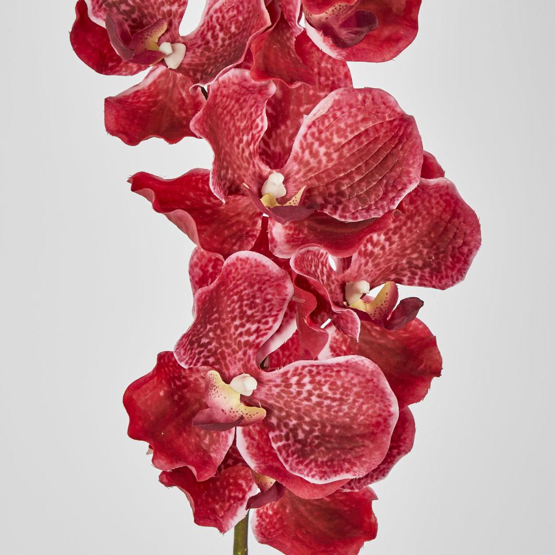 Real Touch phalaenopsis Orchid 78cm Fuschia