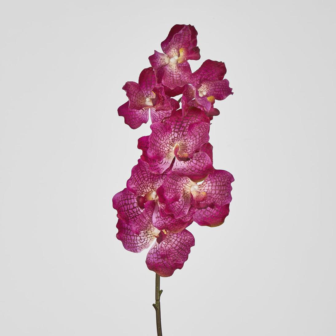 Real Touch phalaenopsis Orchid 78cm Purple