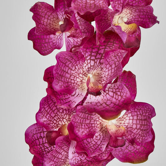Real Touch phalaenopsis Orchid 78cm Purple