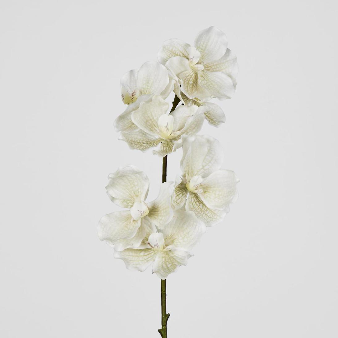 Real Touch phalaenopsis Orchid 78cm White