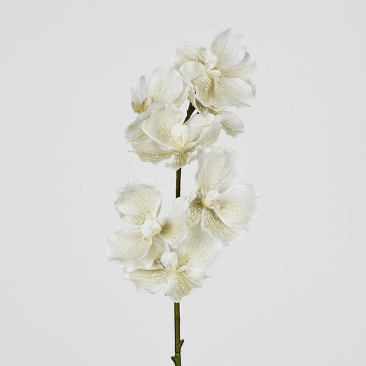 Real Touch phalaenopsis Orchid 78cm White