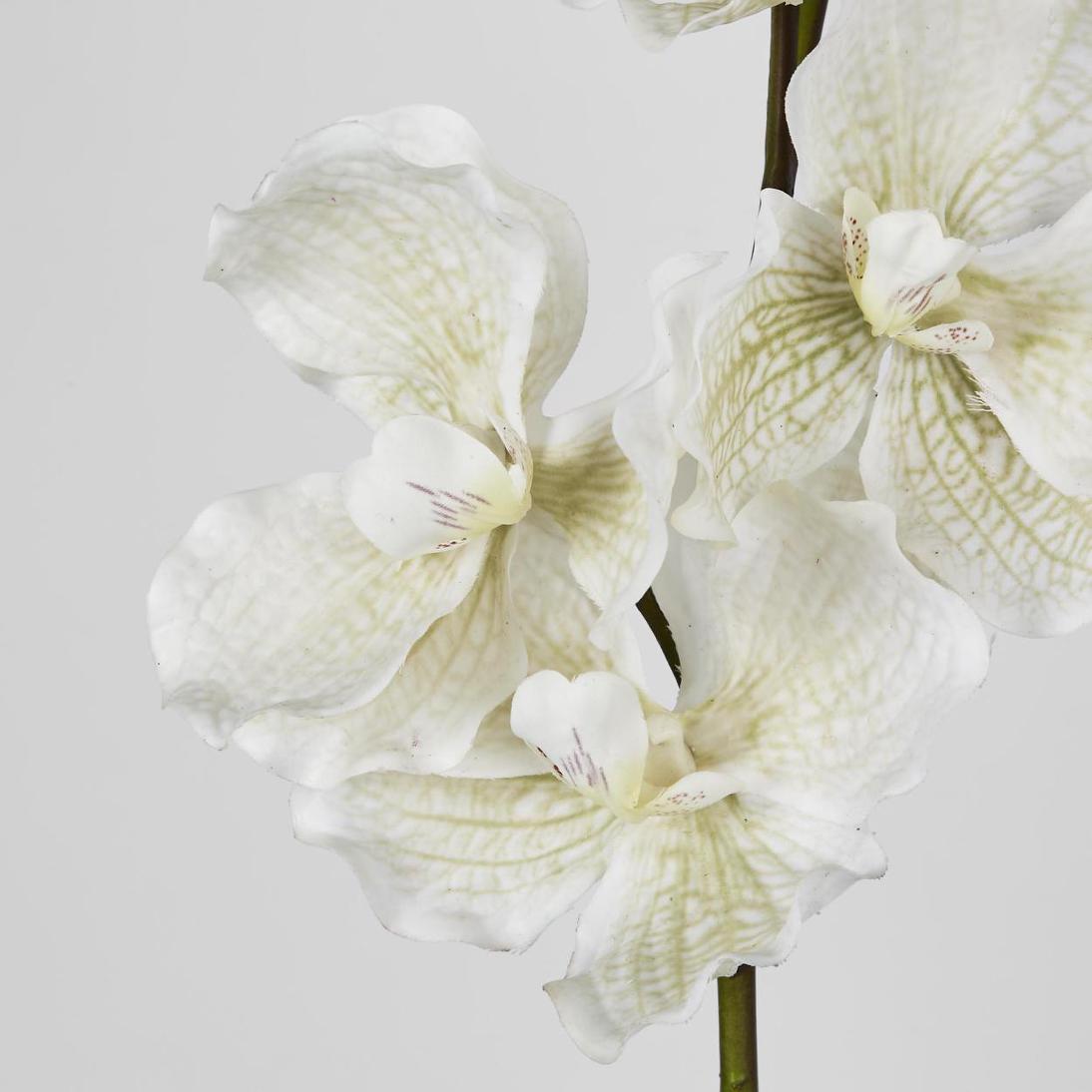 Real Touch phalaenopsis Orchid 78cm White