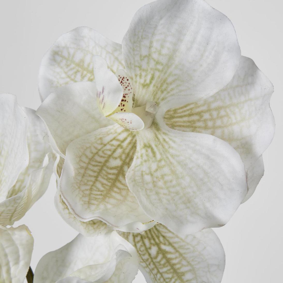 Real Touch phalaenopsis Orchid 78cm White