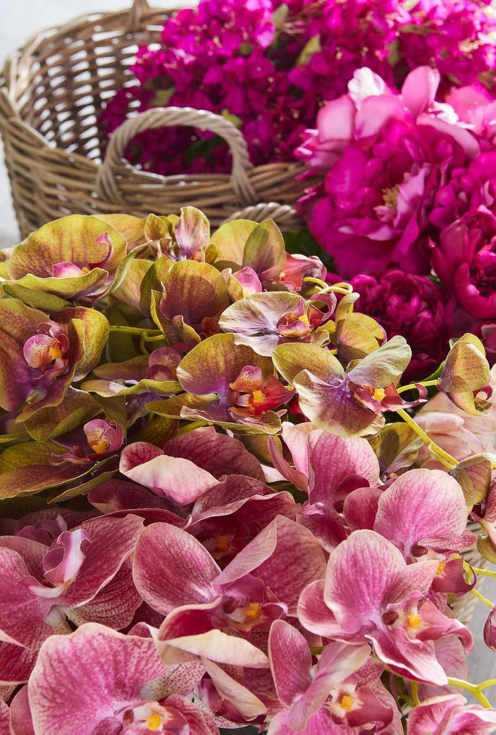 Orchid Phalaenopsis Spray 74cm Green