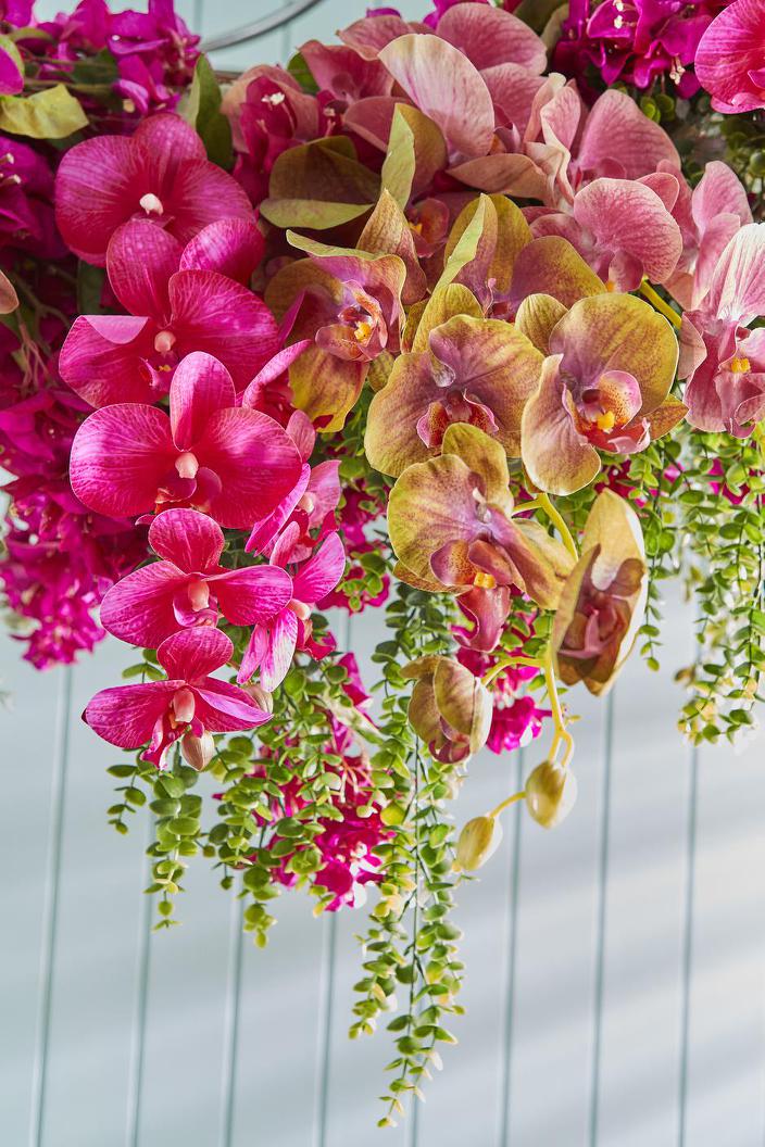 Orchid Phalaenopsis Spray 74cm Green