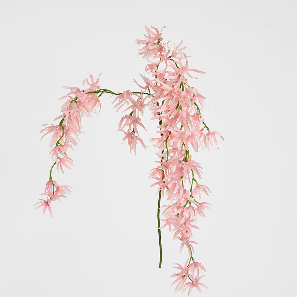 Orchid Spider Hanging 1.1m Pink