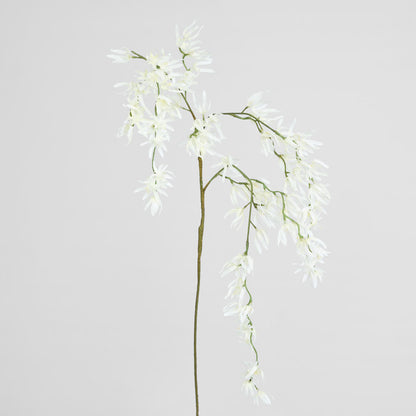 Orchid Spider Hanging 1.1m White
