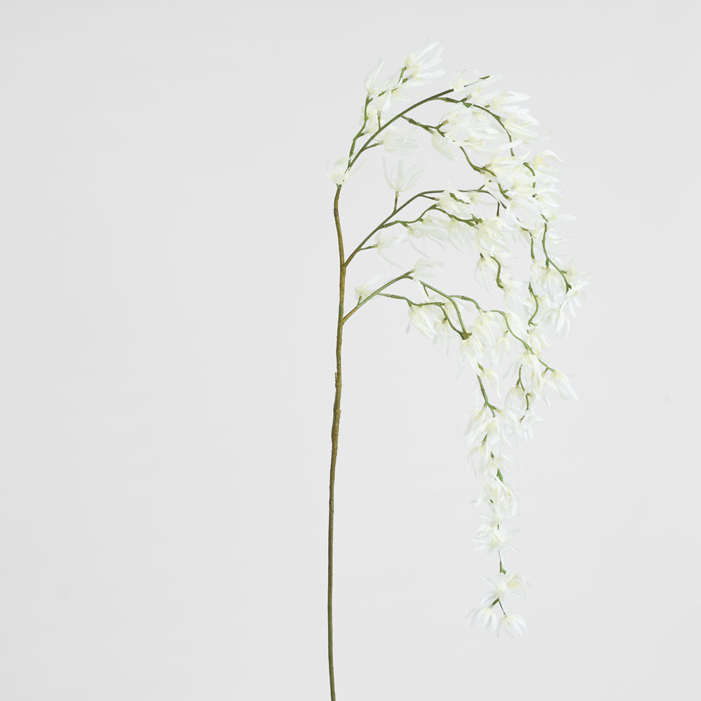 Orchid Spider Hanging 1.1m White