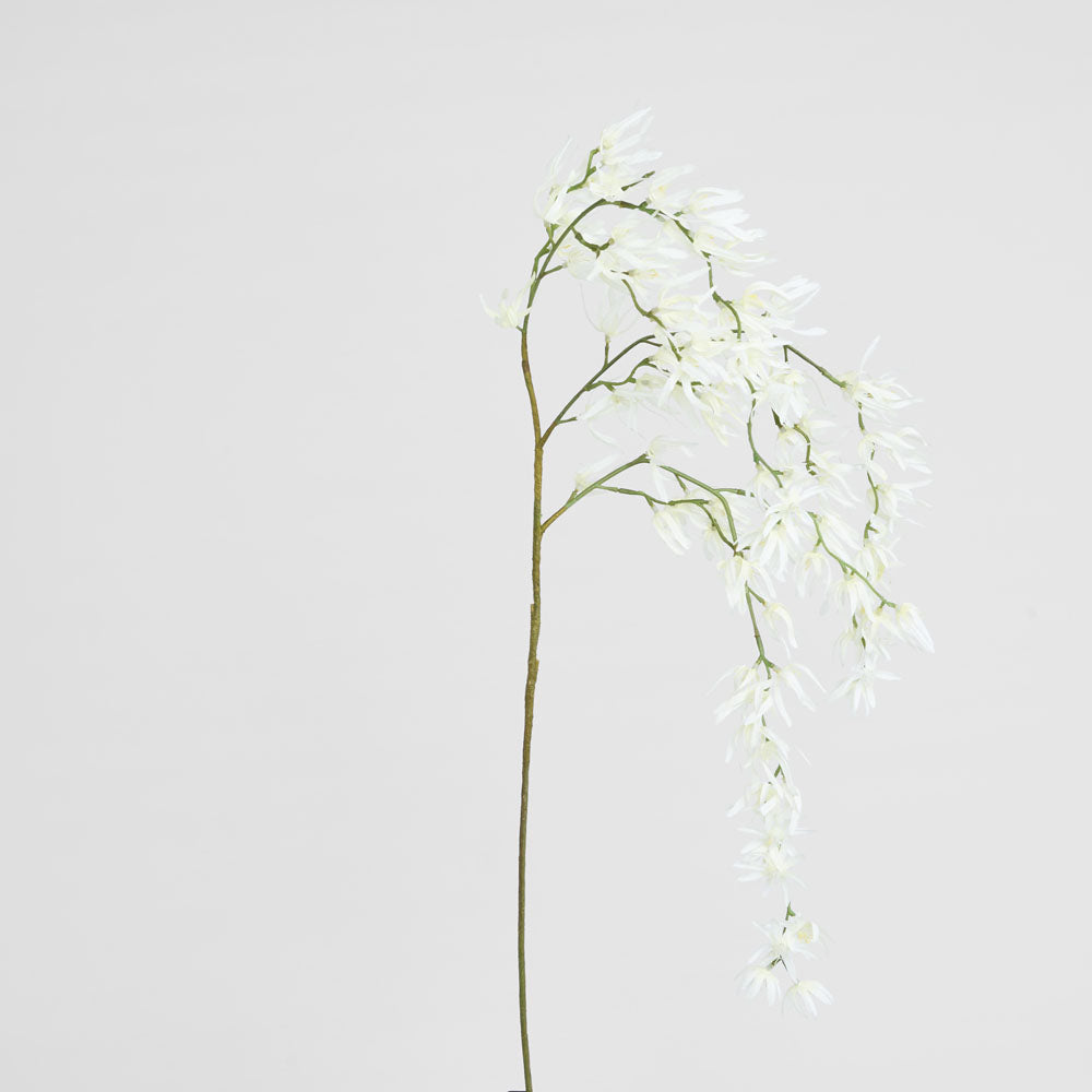 Orchid Spider Hanging 1.1m White