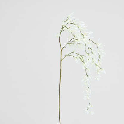 Orchid Spider Hanging 1.1m White
