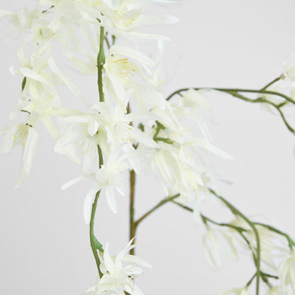 Orchid Spider Hanging 1.1m White