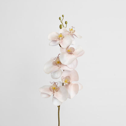 Orchid Single Phalaenopsis Stem 80cm Sunset