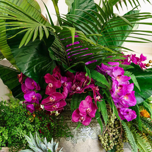 Orchid Phalaenopsis Spray 1m Mauve