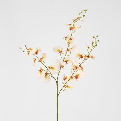 Lilly Dancing Orchid
98cm Cream