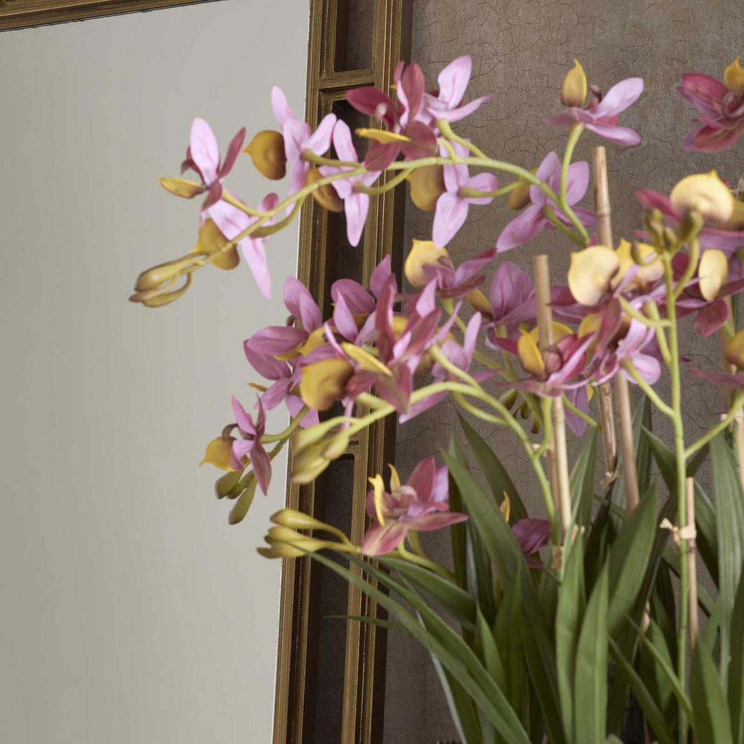 Deluxe Potted Cycnoches Orchid