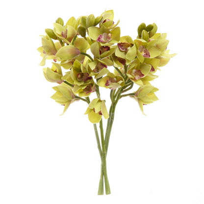 Orchid Cymbidium Spray 47cm Green