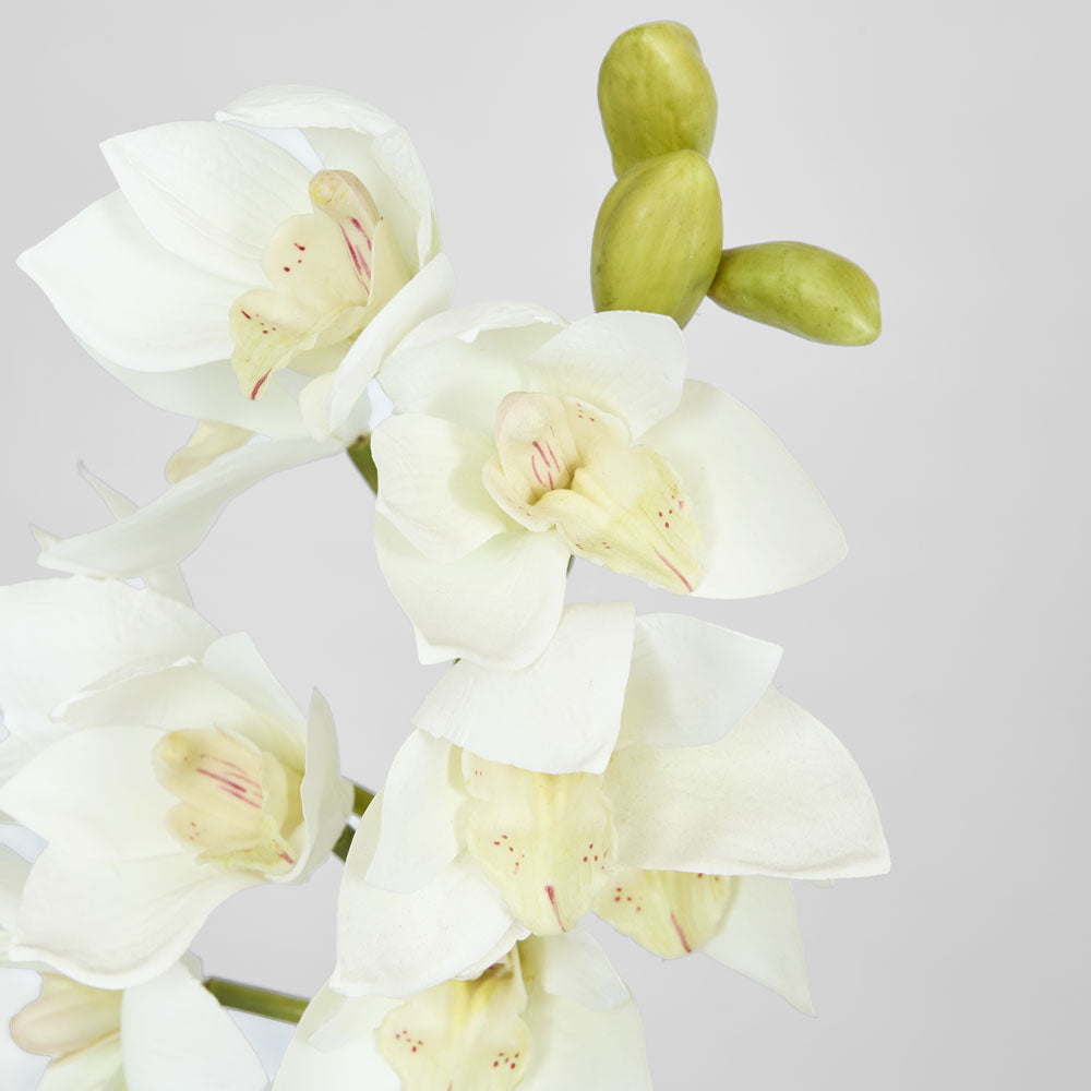 Orchid Cymbidium Spray 47cm White