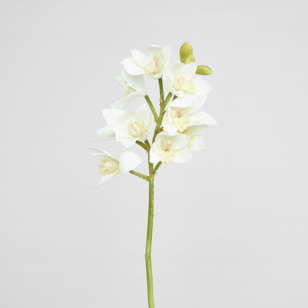 Orchid Cymbidium Spray 47cm White