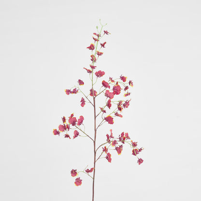 Dancing Orchid 93cm Burgundy