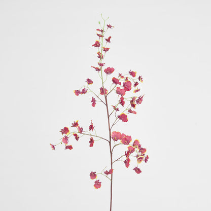 Dancing Orchid 93cm Burgundy